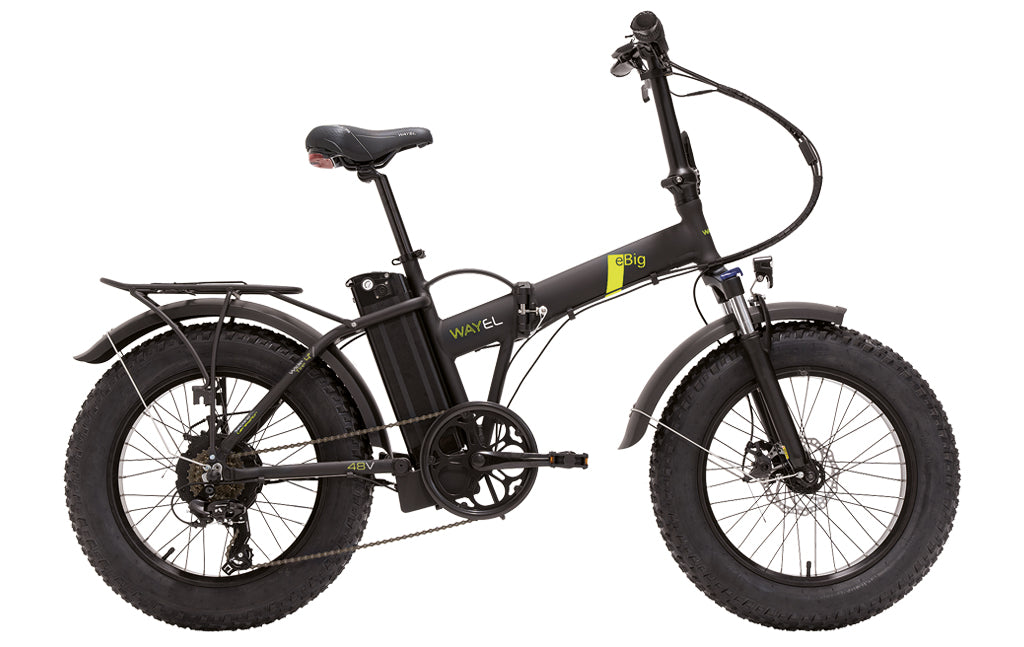 EBIG 48V